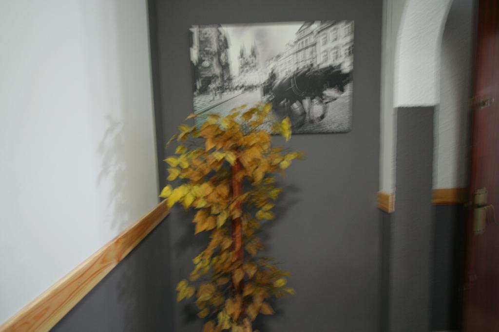 Hostal Restaurante Avenida De Madrid Terrassa Bagian luar foto